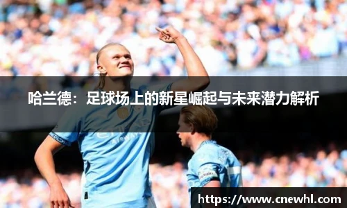 今年会官网登录入口