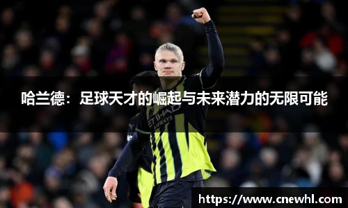 今年会平台入口