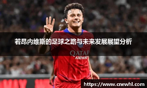 今年会平台入口