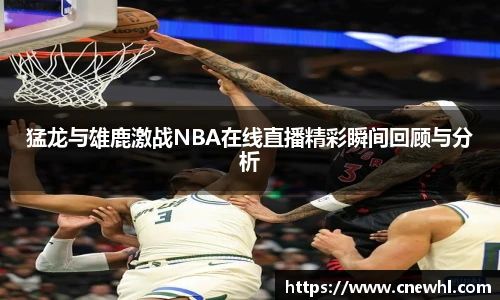 今年会官网登录入口