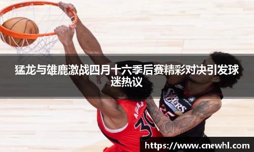 今年会官网